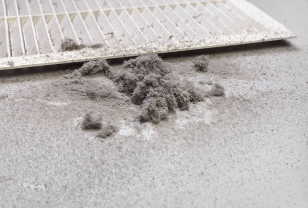 Best Residential Air Duct Cleaning  in Wliamsvle, IL