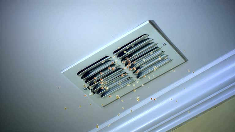 Best Local Air Duct Cleaning Services  in Wliamsvle, IL