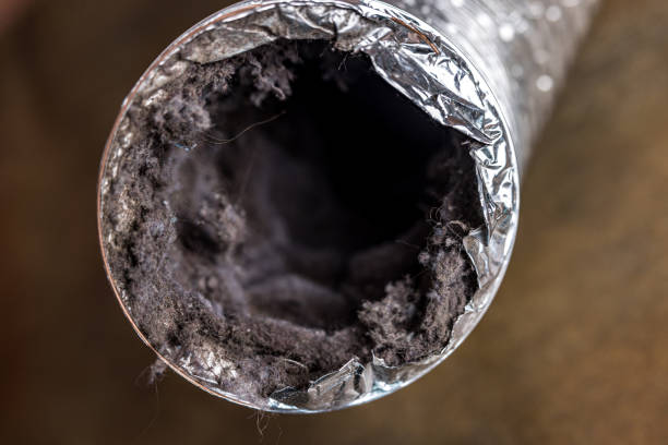 Best Air Duct Cleaning Company Near Me  in Wliamsvle, IL