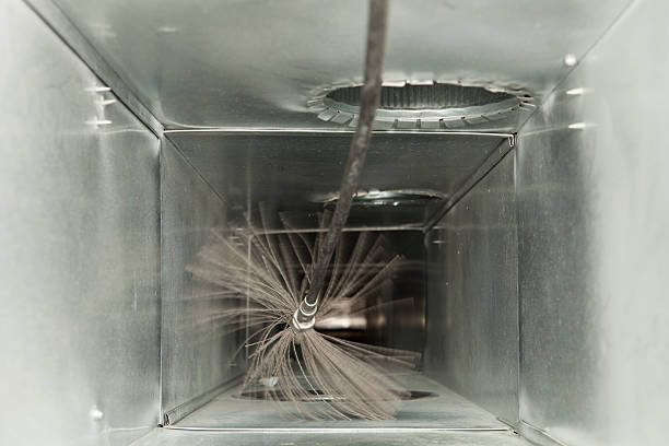 Best Affordable Duct Cleaning Services  in Wliamsvle, IL