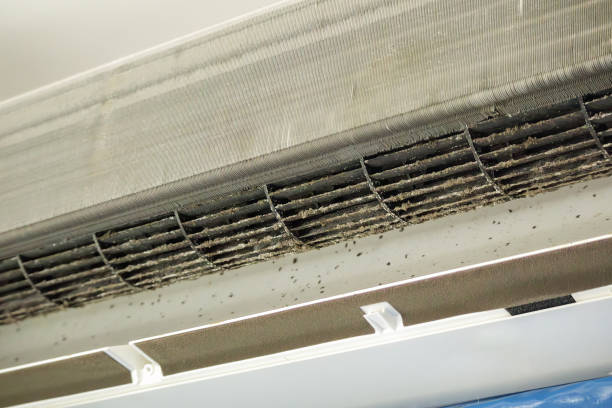 Best Air Duct Cleaning Near Me  in Wliamsvle, IL